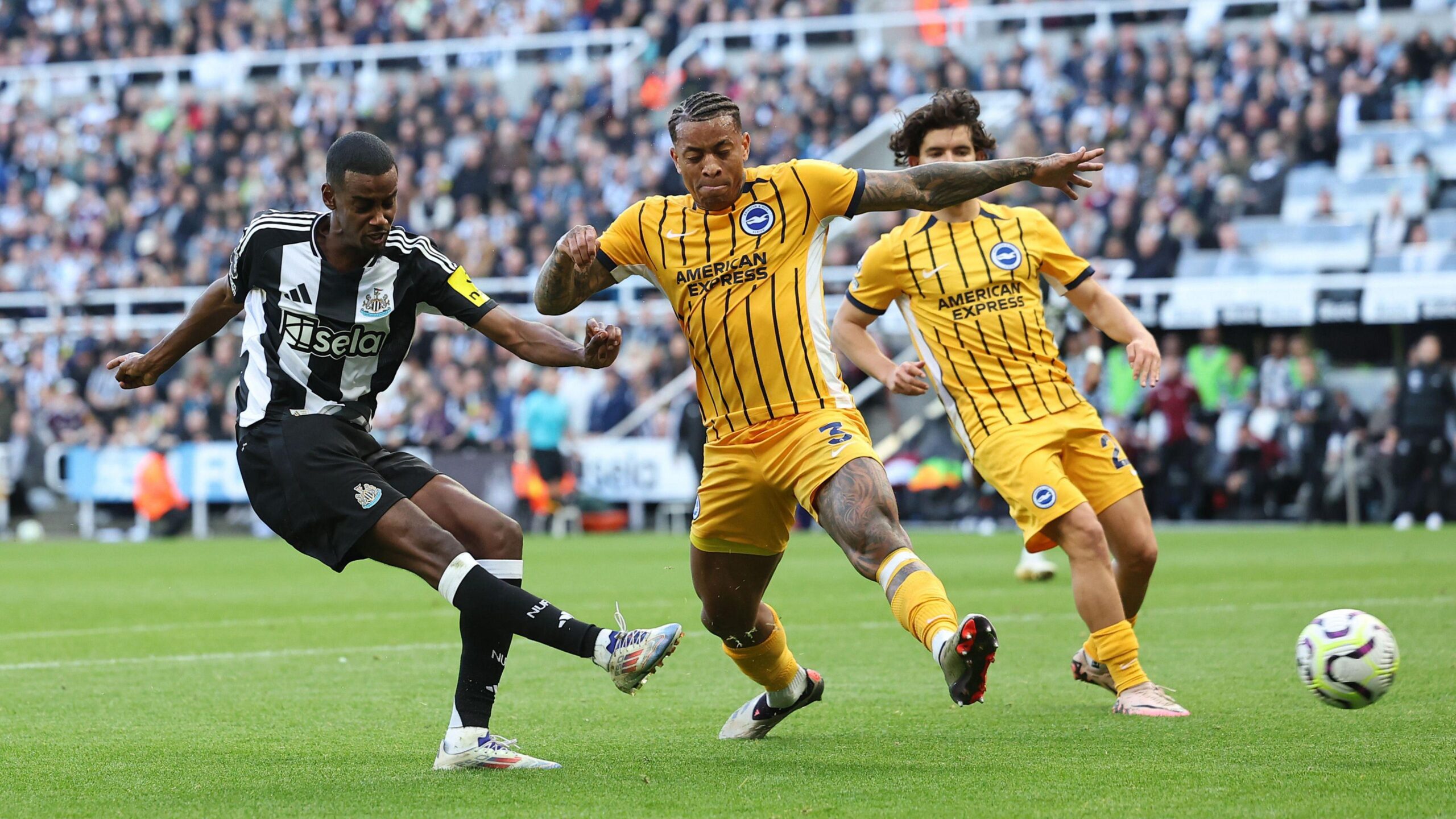 Nhận định Newcastle vs Brighton: Đội khách đi tiếp, 20h45 ngày 2/3/2025